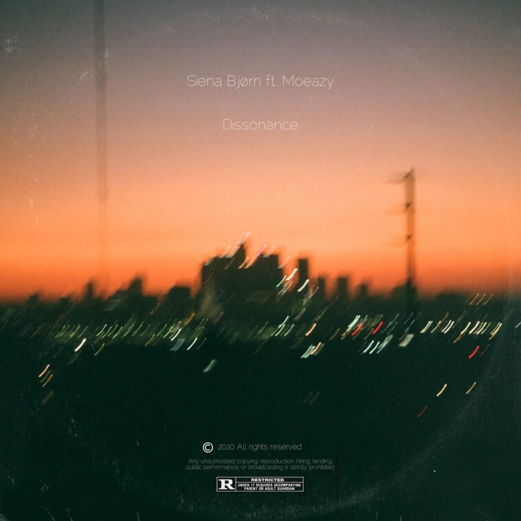 Enrich your soul with the latest single ‘Dissonance’ by the brilliant music artist Siena Bjørn