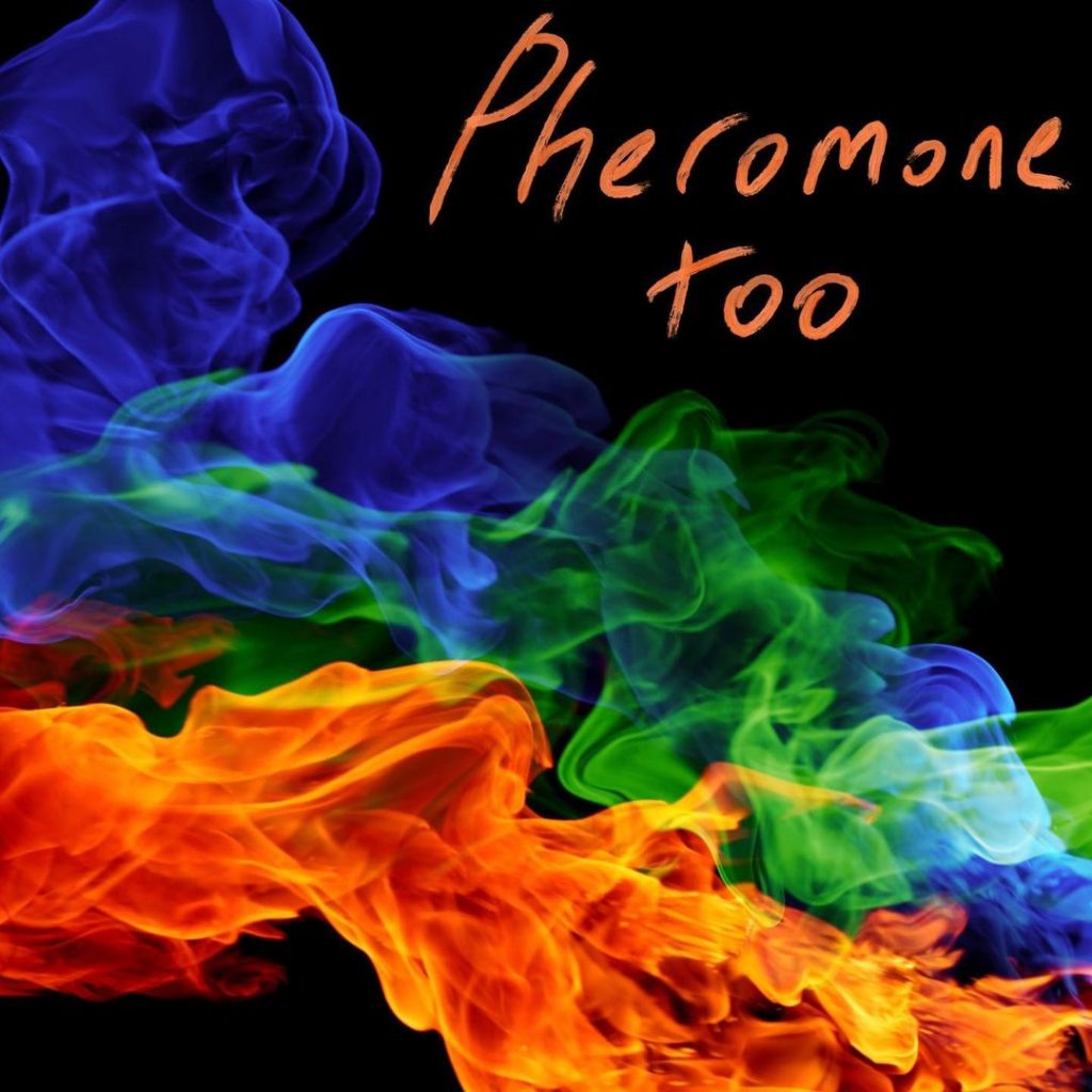 Rising rock band Musicismost releases another jaw-dropping rhythmic piece named ‘Pheromone Too (Hard Mix)’